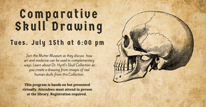 Comparative Skull Dr